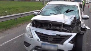 Un vehículo atropelló y mató a un menor en la autopista Panamericana