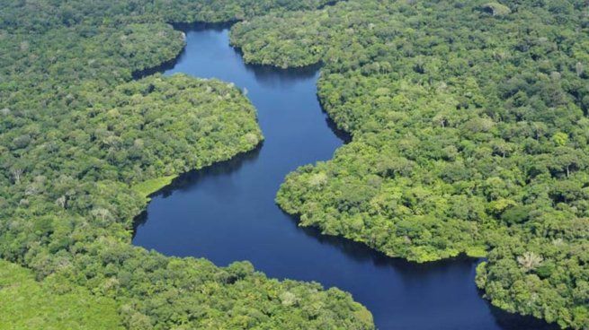 Brasil destinará 3.100 millones de reales (u$s617,5 millones) a fomentar la inversión ecológica en la región amazónica.&nbsp;