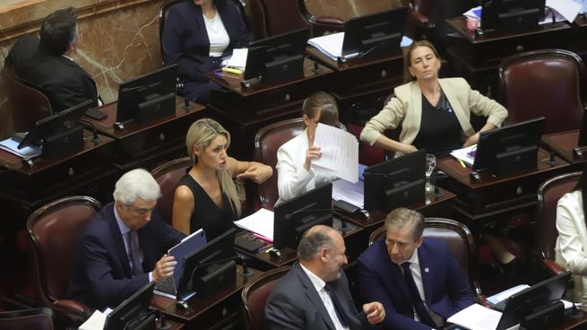 El radicalismo destrabaría la votación con el apoyo de sus diez senadores.