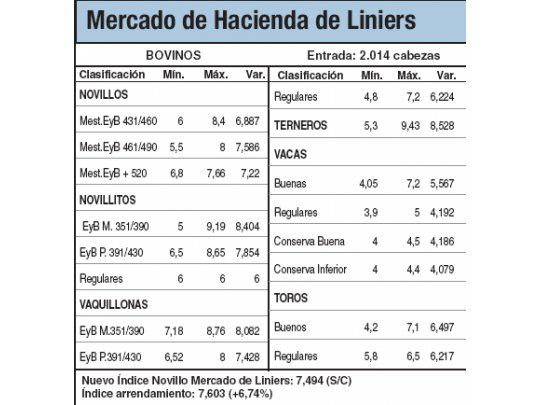 Los novillitos subieron el 0,5%