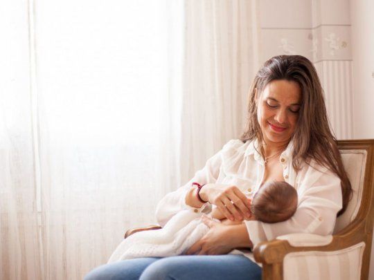 Garantizar elderecho a amamantar en condiciones dignas en el&nbsp;mundo laboral no es sólouna medida sanitaria, sino unapolítica clave para asegurar la igualdad de género.