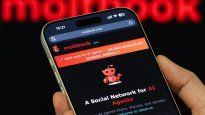 Moltbook apareció a principios de febrero como una red social donde agentes de IA interactúan entre ellos, sin intervención humana.&nbsp;