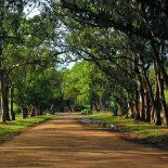 La naturaleza y la tranquilidad se juntan en este sitio haciéndola ideal para vacacionar. La naturaleza y la tranquilidad se juntan en este sitio haciéndola ideal para vacacionar.