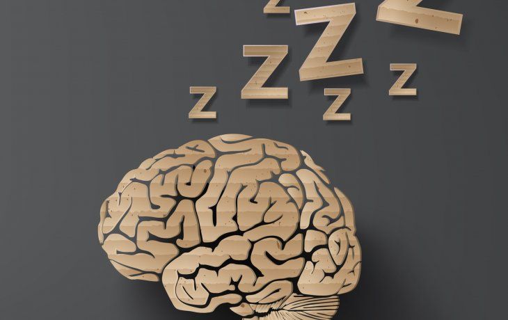 Cerebro.