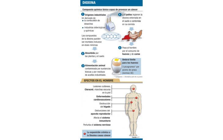 Polémica: dioxina en carnes alemanas