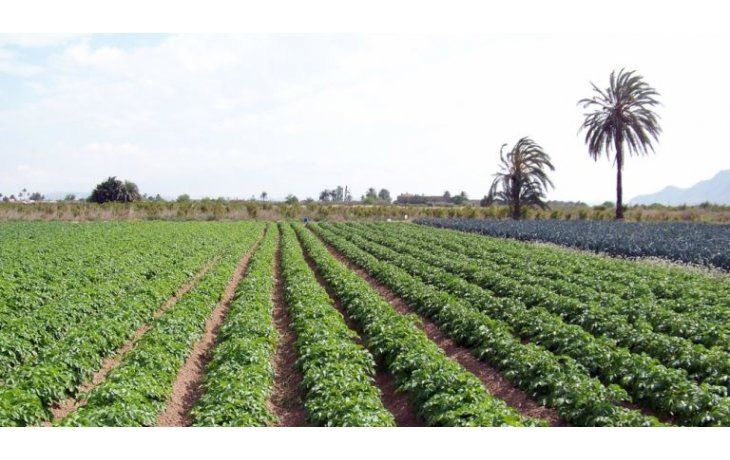 ámbito.com | Registro de tierras: los contadores pidieron más plazo a la AFIP