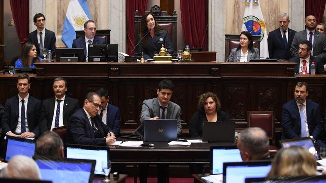 El Senado aprobó el RIGI.