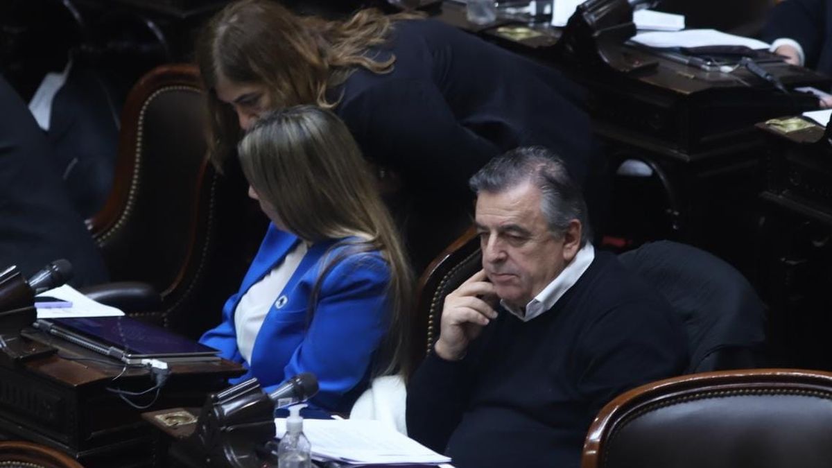Diputados: la oposición arrancó la sesión con críticas al Gobierno nacional