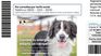 Edesur was also the first service company to open a pet-friendly customer service office in 2019. Edesur was also the first service company to open a pet-friendly customer service office in 2019.