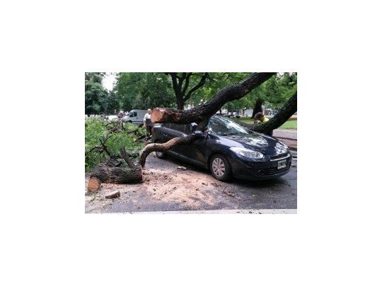 Choques, caída de árboles y anegamientos por la tormenta