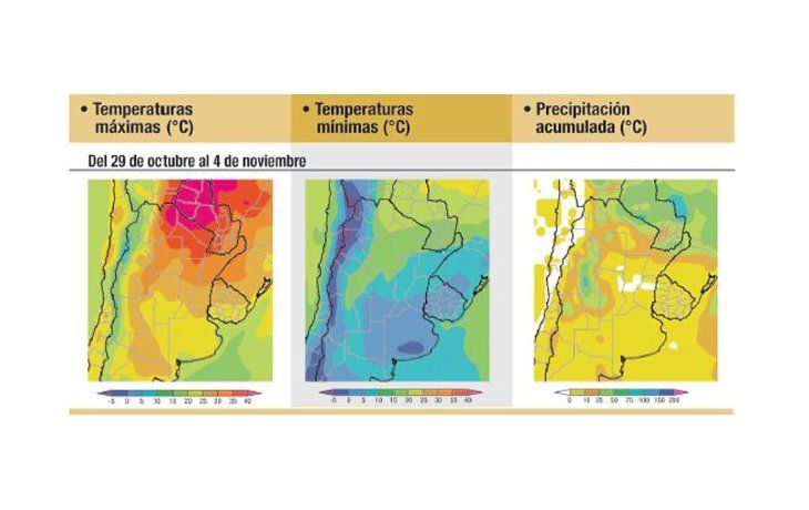 ámbito.com | Dicen en el campo...