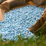 Urea. Argentina enfrenta una paradoja estructural: es uno de los grandes productores de alimentos del mundo, pero mantiene una fuerte dependencia de fertilizantes importados. Urea. Argentina enfrenta una paradoja estructural: es uno de los grandes productores de alimentos del mundo, pero mantiene una fuerte dependencia de fertilizantes importados.