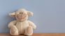 Tips for cleaning stuffed animals. Tips for cleaning stuffed animals.