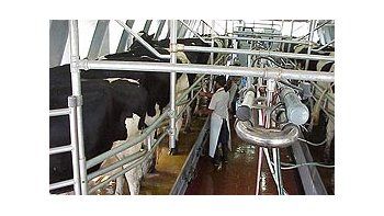 Ministros de la UE adelantan pago de subsidios agrícolas