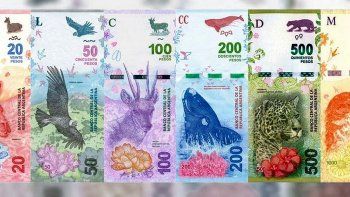 La situación en Casa de Moneda se agravó porque en las dos plantas de impresión que tiene el organismo se presentaron casos de coronavirus.