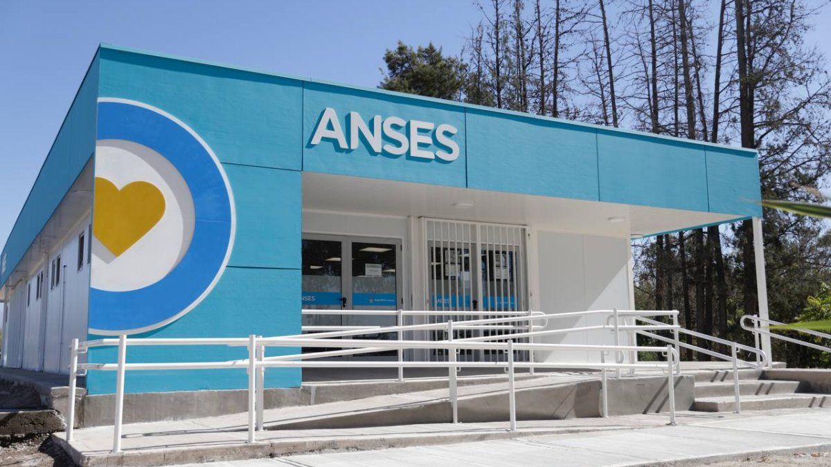 Benefits for the Unemployed and Non-contributors: An Overview of ANSES Programs