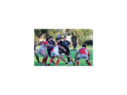 Agónico grito académico