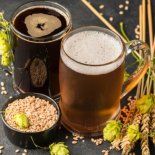 esta cerveza mexicana es mas saludable que beber cualquier refresco, segun la profeco esta cerveza mexicana es mas saludable que beber cualquier refresco, segun la profeco