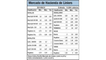 Hacienda cayó un 10% en Liniers