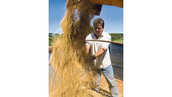 La escalada de precios de la soja pondrá freno a las ventas mundiales entre este mes y agosto, según la revista Oil World. A nivel local, la cosecha concluyó la semana pasada, con escasos 32 millones de toneladas.