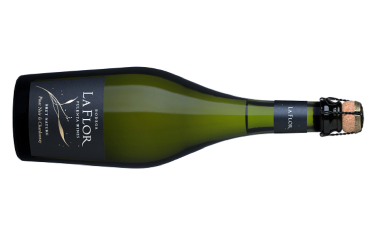 Sparkling Day: the best labels to uncork in its honor