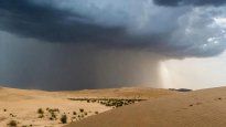 Las lluvias protagonizaron un espectáculo que hacía mucho tiempo no se veía en el Sahara