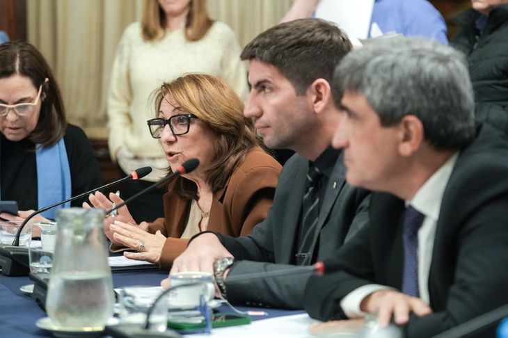 Mónica Fein, Manuel Quintar y Pablo Yedlin, titular de la Comisión de Acción Social. Mónica Fein, Manuel Quintar y Pablo Yedlin, titular de la Comisión de Acción Social.