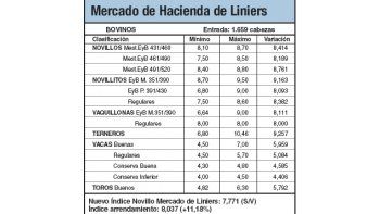 Escaso ingreso de animales a Liniers
