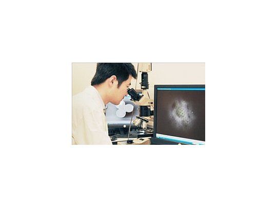 El microscopio será utillizado para la observación celular.
