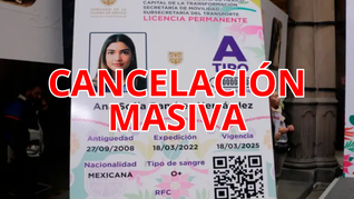 Esto debes saber sobre cancelación de licencias de conducir. Esto debes saber sobre cancelación de licencias de conducir.