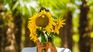 La primavera 2026 arranca oficialmente este martes por la noche en la Argentina. Los detalles del equinoccio de septiembre y sus razones científicas.