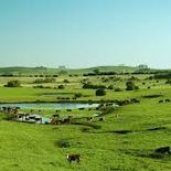 El presidente del INC aseguró que, en caso de que se aplique en Uruguay la modificación de la ley de Tierras argentina, sería preocupante. El presidente del INC aseguró que, en caso de que se aplique en Uruguay la modificación de la ley de Tierras argentina, sería preocupante.