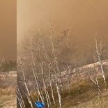 canada reporto un grave incendio en una base militar de alberta que dejo heridos y muertos