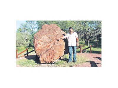 Chaco cr teres y meteoritos milenarios en la reserva de campo del