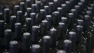 La Justicia entendió que el reclamo de los productores de vinos es legítimo. Y dictó una cautelar por cinco meses para decidir sobre la cuestión de fondo. La Justicia entendió que el reclamo de los productores de vinos es legítimo. Y dictó una cautelar por cinco meses para decidir sobre la cuestión de fondo.