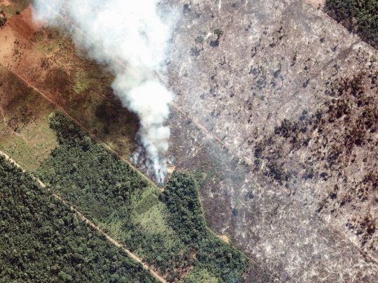 Verde, humo y gris. A la izquierda de la foto aérea se ve selva tupida en una región de la Amazonia brasileña, en el medio un incendio de enormes proporciones y a la derecha, una zona totalmente deforestada.