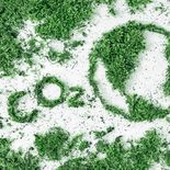 Seis importantes bancos estadounidenses habían abandonado la alianza tras la elección de Trump. Seis importantes bancos estadounidenses habían abandonado la alianza tras la elección de Trump.