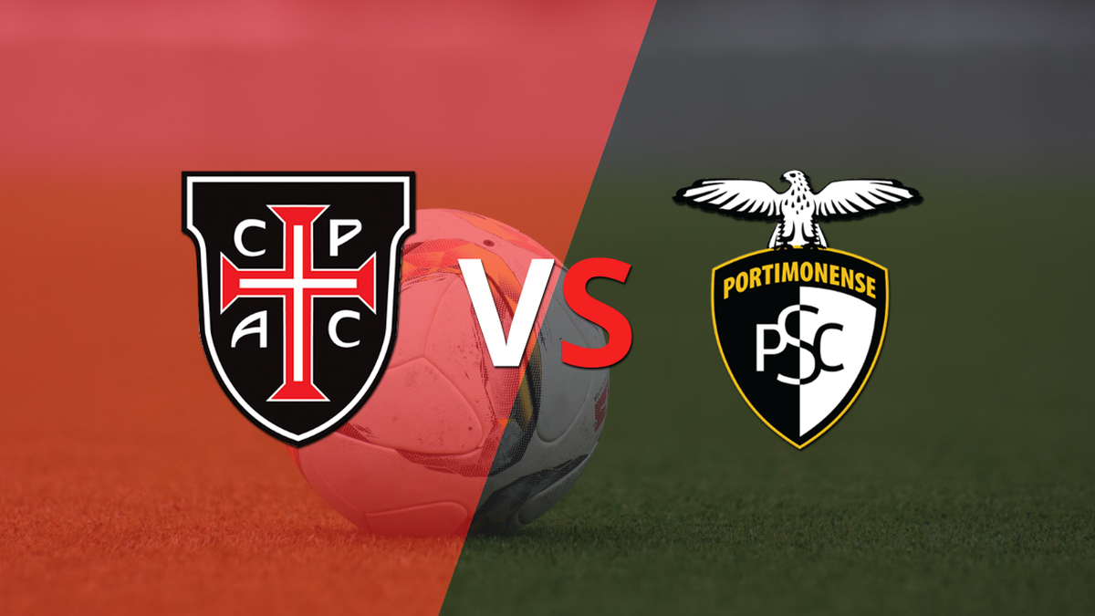 Start the match between Casa Pia vs Portimonense