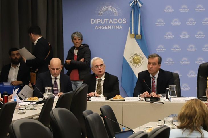 Carlos Manfroni, jefe de Gabinete del Ministerio de Seguridad nacional, en plenario de Diputados. Carlos Manfroni, jefe de Gabinete del Ministerio de Seguridad nacional, en plenario de Diputados.