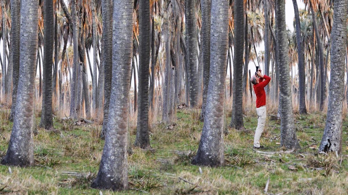 Cambio climático: Entre Ríos registra el otoño e invierno más frío de los últimos ocho años