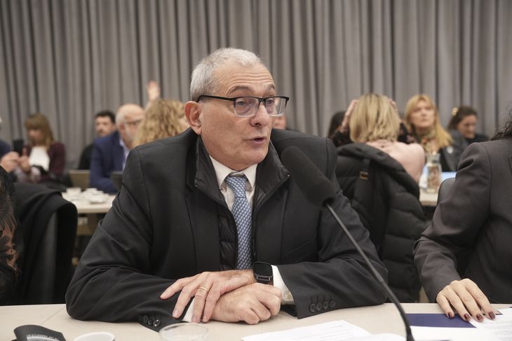 Díaz alertó sobre el registro y las sanciones penales que establece el proyecto. Díaz alertó sobre el registro y las sanciones penales que establece el proyecto.