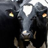 La facturación de exportaciones se aproxima a valores récord.  La facturación de exportaciones se aproxima a valores récord.