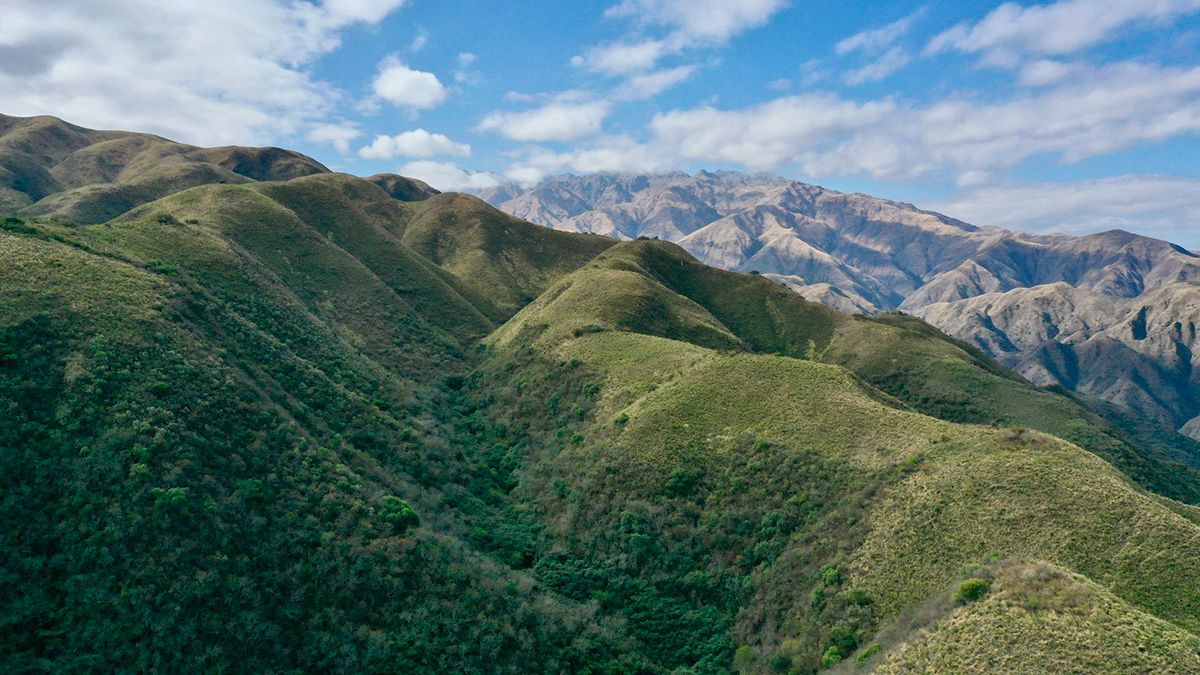 The forest that connects you with the different points of nature in Catamarca and is ideal for hiking