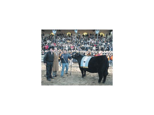 CAMPEÓN.
