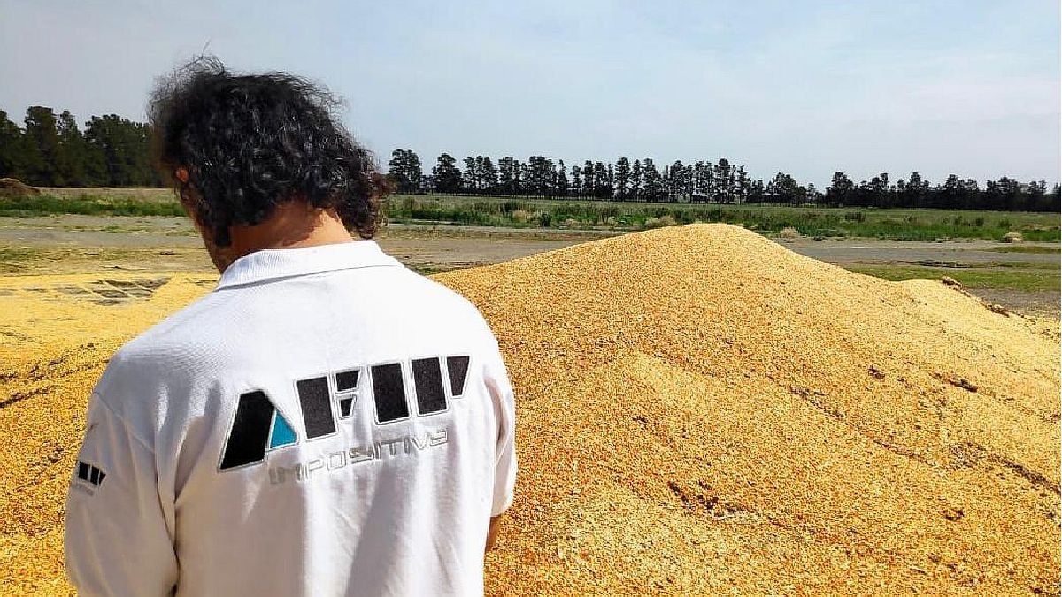 The AFIP detected 113 tons of undeclared grains in northeastern Argentina