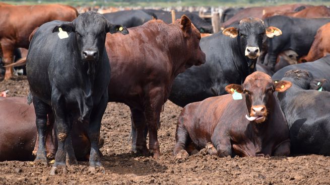 Esta operación es un préstamo con un plazo de 2 años, pago de intereses trimestrales, mientras que el capital se devuelve en la finalización del plazo (bullet).&nbsp;