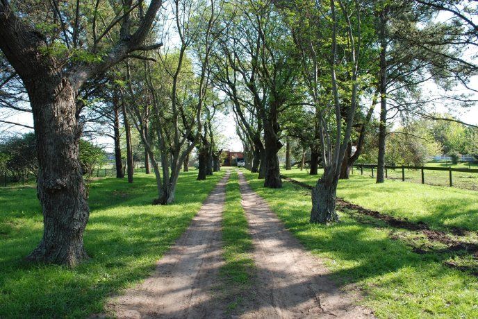 Open Door te invita a disfrutar de la naturaleza en un entorno lleno de paz.