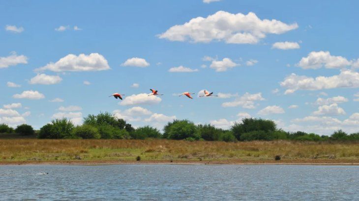 Además de las actividades acuáticas, también se puede apreciar un paisaje natural pintoresco. Además de las actividades acuáticas, también se puede apreciar un paisaje natural pintoresco.