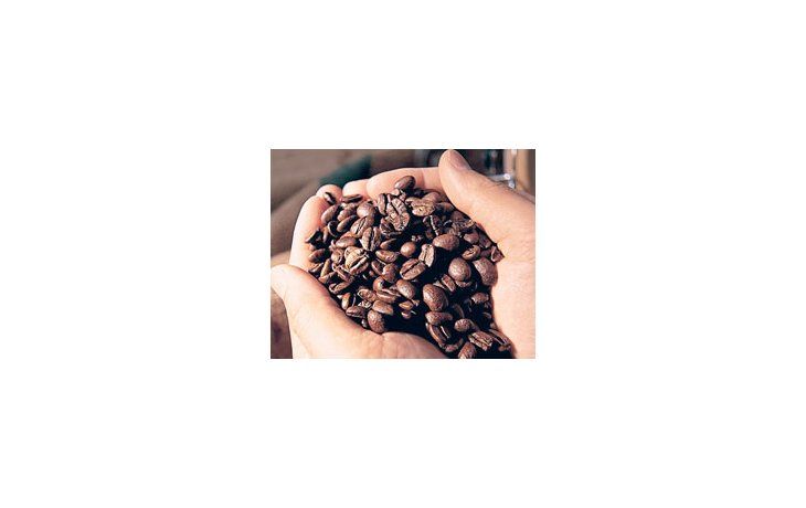 El Gobierno brasileño comprará sacos de café a un valor por encima del 20% de su actual precio de mercado, para sostener a la producción local.