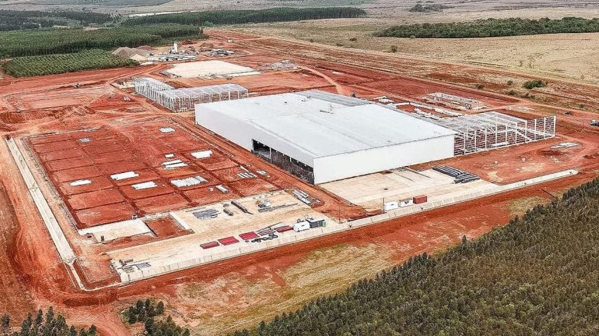 The largest sawmill in the country is already operating in Corrientes